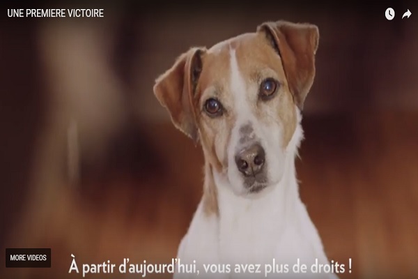 New Animal Protection Law Passed in Luxembourg
