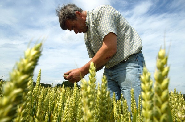 Luxembourg Farmers Allowed Derogations to Ensure Food Supply Chain