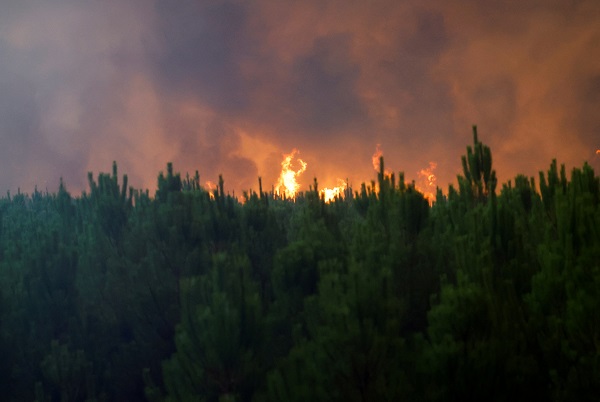 France Battles `Monster` Wildfire near Bordeaux for 3rd Day
