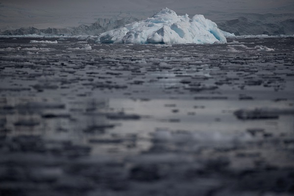 Antarctic Winter Sea Ice Hits 'Extreme' Record Low