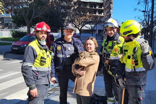 Unlikely Survivor Coco the Cat Found 8 Days after Fire in Valencia, Spain