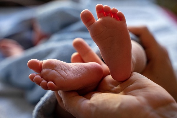Declining Birth Rates: Power of Choice & Challenge of Adaptation
