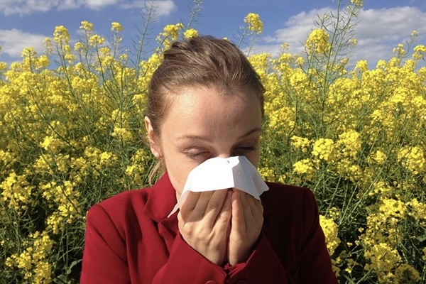 Hay Fever is Not to be Sniffed At