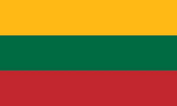 NATO Fighter Shoots Down Drone In Lithuania