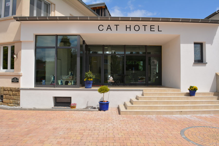 Boarding cattery - CAT HOTEL